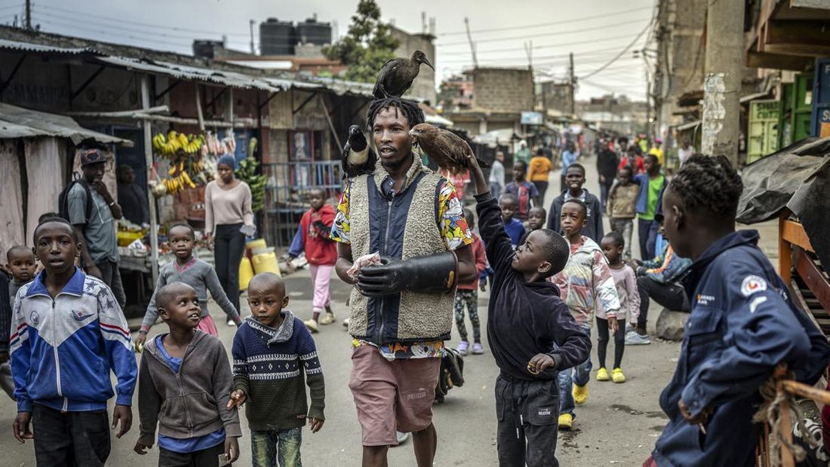 Rodgers Oloo Magutha, 28, popularly known as Nairobi Birdman, walks along a street followed by curious residents as he carries some of the wild birds under his care in Kayole, a low-income neighbourhood on the outskirts of Nairobi, on July 4, 2026. O