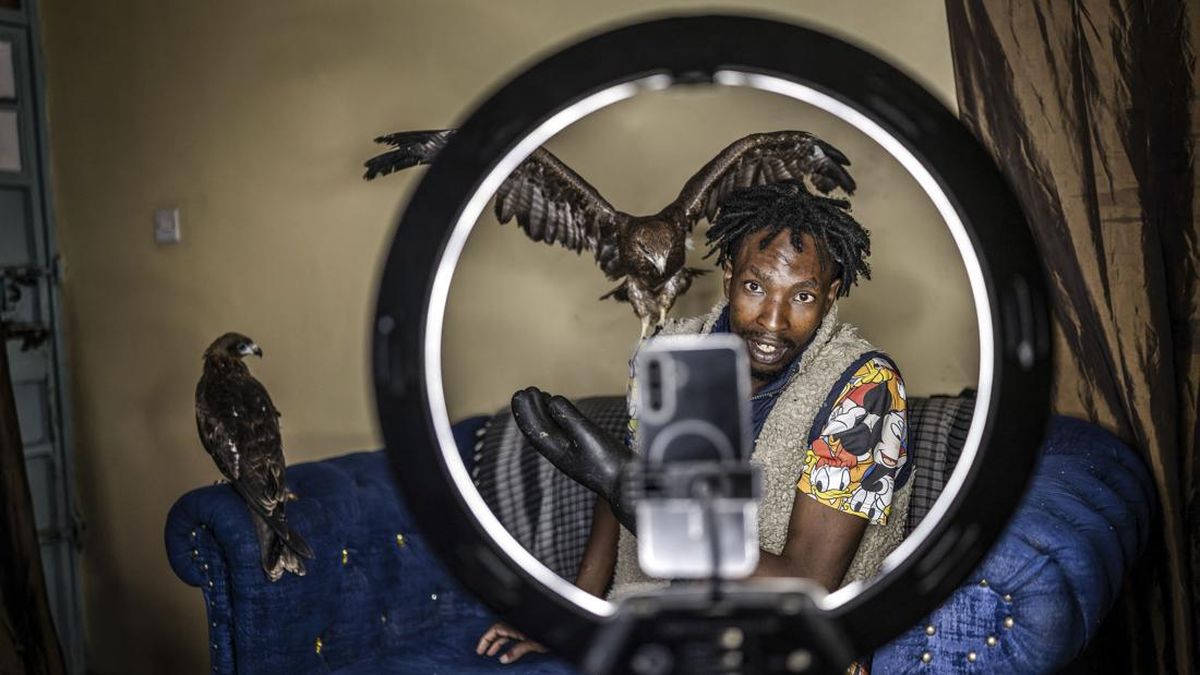 Rodgers Oloo Magutha, 28, popularly known as Nairobi Birdman, records a video for his social media accounts while surrounded by some of the wild birds under his care as he feeds them at his one-room apartment in Kayole, a low-income neighbourhood on