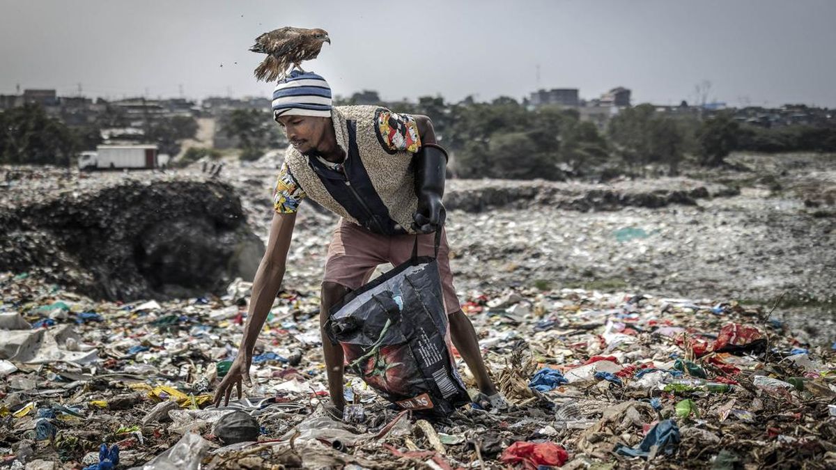 Rodgers Oloo Magutha, 28, popularly known as Nairobi Birdman, carries a Black Kite on his head while working as a plastic waste collector at a dumpsite in Kayole, a low-income neighbourhood on the outskirts of Nairobi, on July 4, 2026. Once a homeles