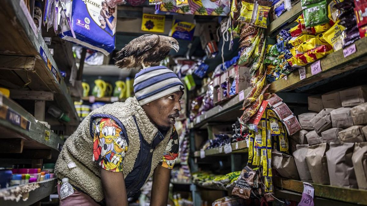 Rodgers Oloo Magutha, 28, popularly known as Nairobi Birdman, carries a Black Kite on his head as he shops at a small supermarket next to his home in Kayole, a low-income neighbourhood on the outskirts of Nairobi, on July 4, 2026. Once a homeless tee