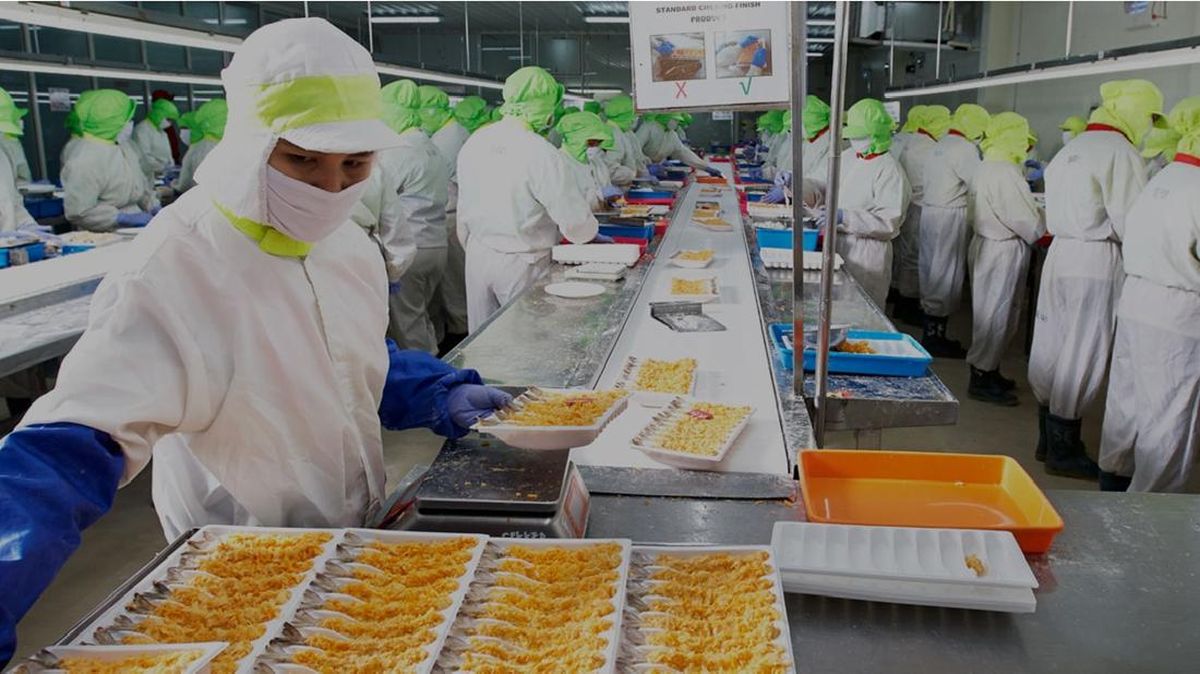 Profil Perusahaan Kaesang PT PMMP yang Terlilit Utang Bank Rp2,8 T