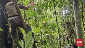 Foto-foto di Kabupaten Bungo, Jambi