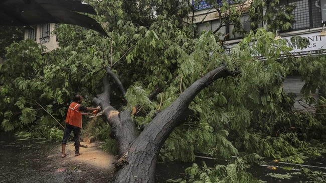 A worker clears a fallen tree after heavy rainfall in Mumbai, India, July 5, 2026. REUTERS/Francis Mascarenhas