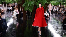 A model presents a creation by designer Jonathan Anderson as part of his Haute Couture Fall/Winter 2026-2027 collection show for fashion house Christian Dior in Paris, France, July 6, 2026. REUTERS/Sarah Meyssonnier