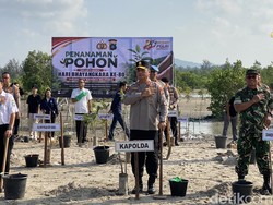Lestarikan Alam, Polda Babel Tanam Ribuan Bibit Pohon di Lahan Kritis
