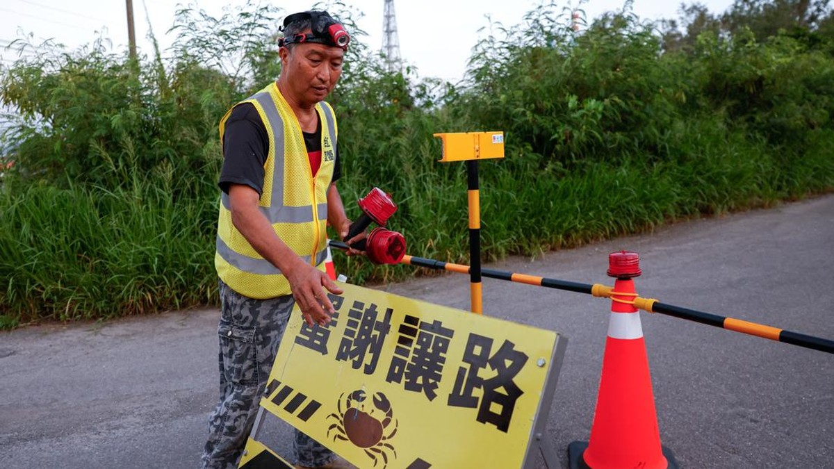 Demi Kepiting Bertelur, Relawan Rela Tutup Jalan-Bangun Jalur Khusus