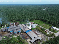 Agrinas Palma Nusantara Bukukan Surplus Operasional Rp 2,86 T pada 2025