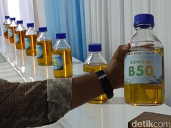 RI Mau Bangun 2 Pabrik Metanol buat Campuran B50