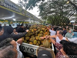 Warga War Durian Jemongko di Pontianak, Belum Turun dari Mobil Sudah Ludes