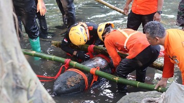 Bom Aktif 100 Kg Ditemukan di Blitar, Diduga Peninggalan Perang