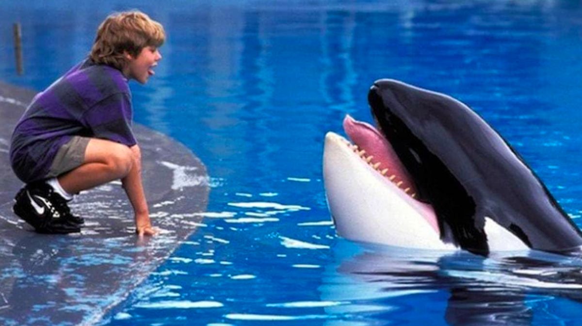 Free Willy Kembali Bangkit! Reboot Megah dari Russo Brothers yang Bikin Penasaran!