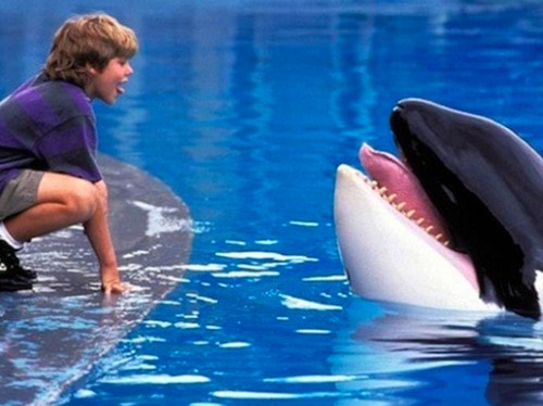 Free Willy (1993) mengisahkan seorang anak yatim piatu yang berteman dengan seekor paus orca yang ditawan.