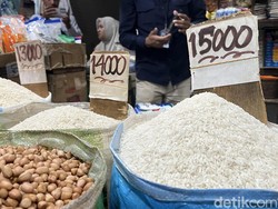 Biang Kerok Harga Beras Masih Tinggi