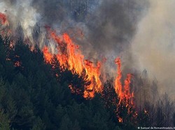 Video: Momen Evakuasi Warga saat Kebakaran Hutan Meluas di Spanyol