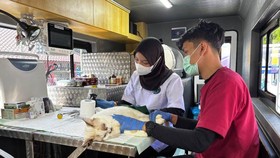 Gubernur DKI Pramono Anung mengajak masyarakat memanfaatkan Mobil Klinik Hewan Keliling. Layanan kesehatan hewan ini profesional dan terjangkau.