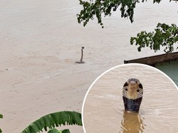 Horor Ratusan Korba Lepas Saat Banjir Terjang China