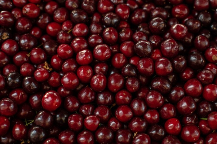 Cranberry dikenal luas karena manfaatnya dalam menjaga kesehatan saluran kemih. Penelitian juga menunjukkan buah ini berpotensi mendukung kesehatan jantung dan mengurangi peradangan./ Foto: magnific.com/user15285612