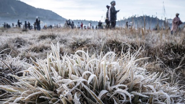 Fenomena Embun Beku di Dataran Tinggi Dieng