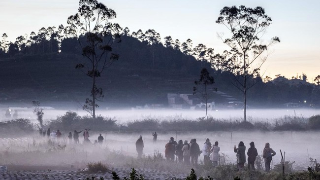 Fenomena Embun Beku di Dataran Tinggi Dieng