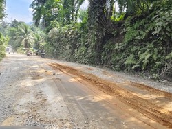 Jalan Menuju Lokasi Wisata Bukit Lawang Rusak Parah