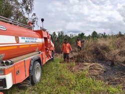 Mengganas! 8 Karhutla di Kobar Lalap 9,5 Hektare Lahan dalam 4 Hari