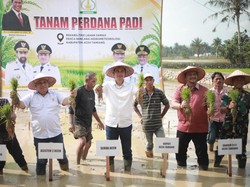 Lahan Pertanian di Aceh Kembali Ditanami, Sekda Apresiasi Satgas PRR