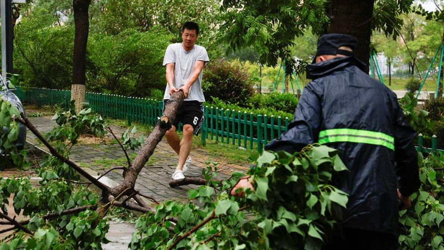 Orang-orang menyeret pohon tumbang untuk membersihkan jalan setelah hujan lebat dan angin kencang nan dibawa oleh Topan Bavi di Wenzhou, provinsi Zhejiang, Tiongkok, 12 Juli 2026.