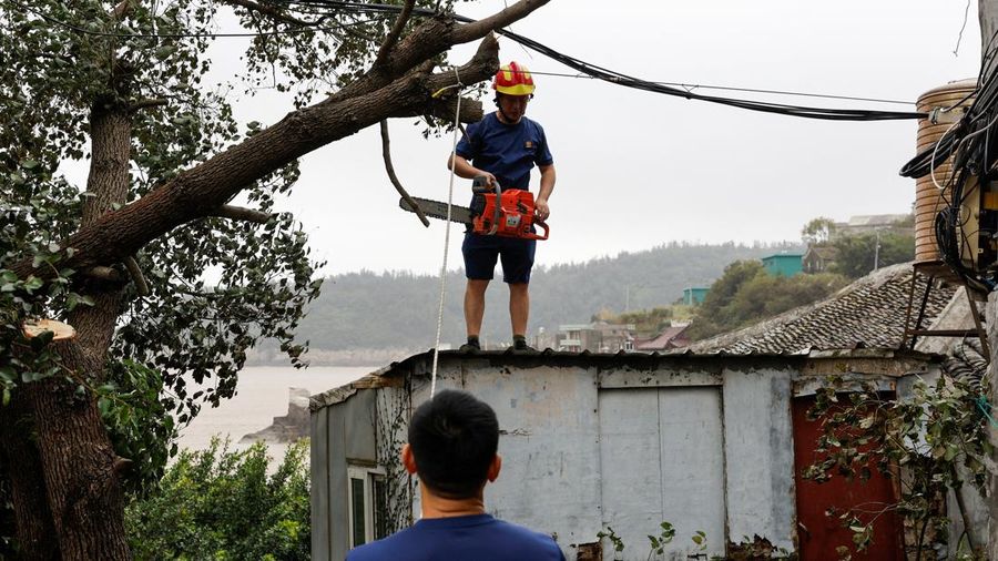Para pekerja berupaya memangkas bagian pohon nan mengganggu saluran listrik setelah Topan Bavi di desa pesisir Dongsha, Taizhou, provinsi Zhejiang, Tiongkok, 12 Juli 2026.