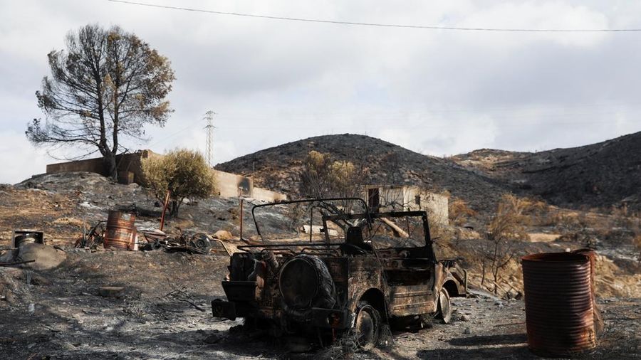 Sebuah kendaraan nan terbakar di area nan terbakar setelah kebakaran rimba mematikan di Almocaizar, Almeria, Spanyol, 12 Juli 2026. (REUTERS/Loyola Perez de Villegas Muniz)