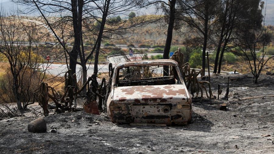 Sebuah kendaraan nan terbakar di area nan terbakar setelah kebakaran rimba mematikan di Almocaizar, Almeria, Spanyol, 12 Juli 2026.