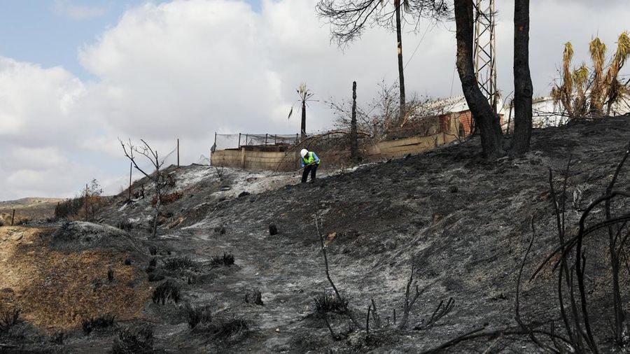 Seorang pekerja dari perusahaan listrik Endesa memeriksa kabel listrik di area nan terbakar setelah kebakaran rimba mematikan di Almocaizar, Almeria, Spanyol, 12 Juli 2026.