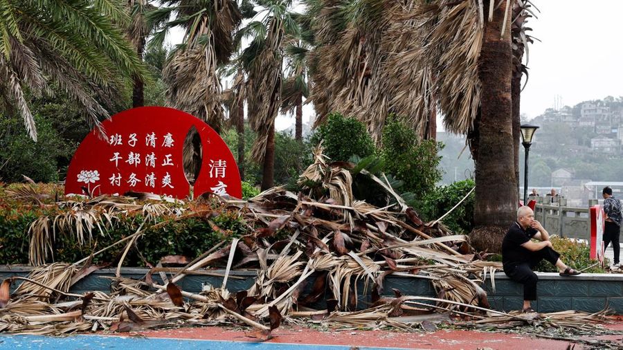 Seseorang duduk di samping dedaunan palem nan gugur setelah Topan Bavi melanda desa pesisir Diaocaocun, Taizhou, provinsi Zhejiang, Tiongkok, 12 Juli 2026.