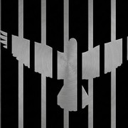 Tes Kepribadian: Burung atau Sangkar yang Pertama Kamu Lihat? Ini Artinya...