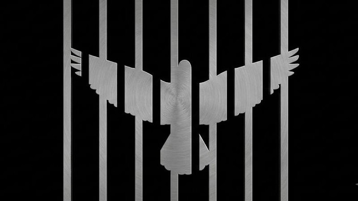 Tes Kepribadian: Burung atau Sangkar yang Pertama Kamu Lihat? Ini Artinya...
