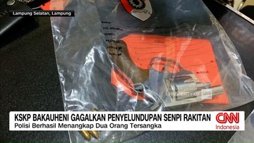 VIDEO: Polisi Gagalkan Penyelundupan Senjata Api Rakitan di Bakauheni