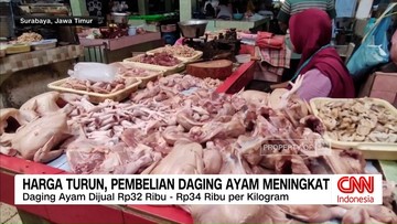 VIDEO: Harga Daging Ayam Turun, Warga Serbu Bazar Murah
