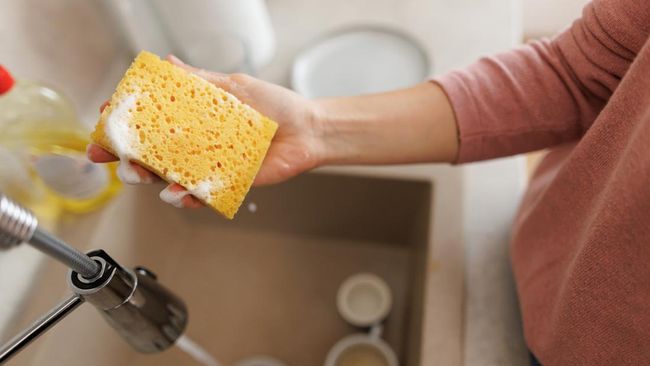 Spons Dapur yang Terlihat Bersih Ternyata Bisa Picu Penyakit, Simak Faktanya