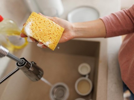 Spons Dapur yang Terlihat Bersih Ternyata Bisa Picu Penyakit, Simak Faktanya
