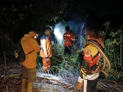 Detik-detik Karhutla Nyaris Merembet ke Rumah Warga Kotim