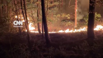 Kebakaran Lahap Hutan di Prancis, Tutup Akses Tol