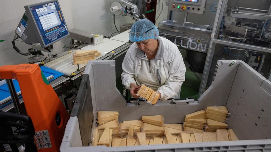 Seorang pekerja memeriksa bungkusan keju Parmigiano Reggiano nan tersegel di ujung jalur otomatis di Caseifici GranTerre, tempat manajemen mengatakan gelombang panas berkepanjangan menambah biaya produksi, di Montecavolo di Quattro Castella, Italia, 6 Juli 2026.