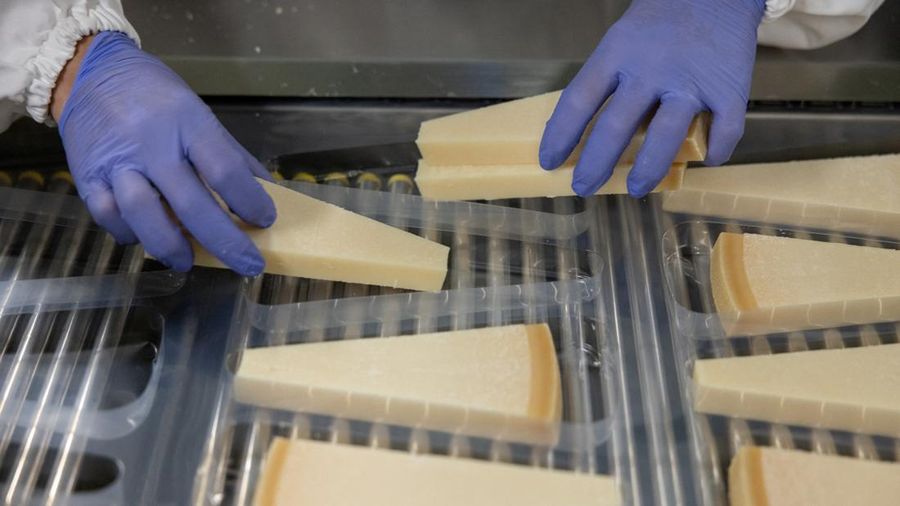 Seseorang menempatkan potongan keju Parmigiano Reggiano ke dalam nampan plastik di jalur pengemasan GranTerre, sebuah proses nan memerlukan pengendalian suasana ekstra selama musim panas, di Montecavolo di Quattro Castella, Italia, 6 Juli 2026.