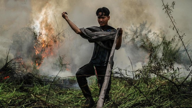 Pemkot Palangka Raya menetapkan status siaga darurat karhutla sejak 1 Juni lalu. Sejak penetapan status siaga, telah terjadi lima kejadian karhutla