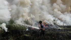 Petugas pemadam kebakaran Dinas Kehutanan Kalteng berusaha memadamkan api yang membakar lahan gambut di Kelurahan Bukit Tunggal, Palangka Raya.