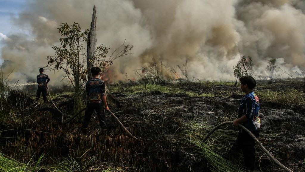 12 Orang Jadi Tersangka Karhutla di Kalteng