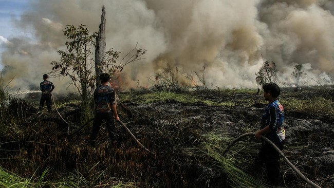Pemkot Palangka Raya menetapkan status siaga darurat karhutla sejak 1 Juni lalu. Sejak penetapan status siaga, telah terjadi lima kejadian karhutla