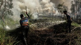 Pemkot Palangka Raya menetapkan status siaga darurat karhutla sejak 1 Juni lalu. Sejak penetapan status siaga, telah terjadi lima kejadian karhutla