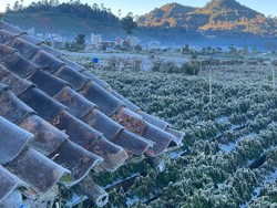 Muncul Embun Es di Dieng, Apa Penyebabnya? Ini Kata Pakar BRIN