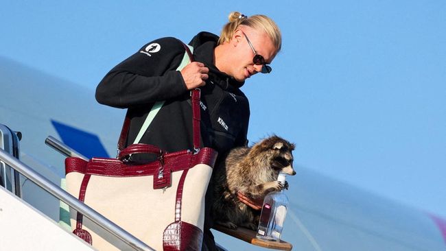 Erling Braut Haaland carries a stuffed raccoon as he gets off the plane after the national football team landed at Oslo Airport, in Gardermoen, Norway, July 13, 2026. Jan Langhaug /NTB/via REUTERS   ATTENTION EDITORS - THIS IMAGE WAS PROVIDED BY A TH
