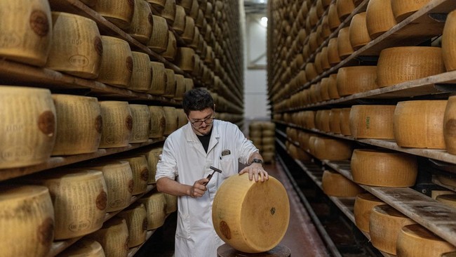 Gelombang Panas Ekstrem Ancam Produksi Keju Parmesan Terbesar di Italia